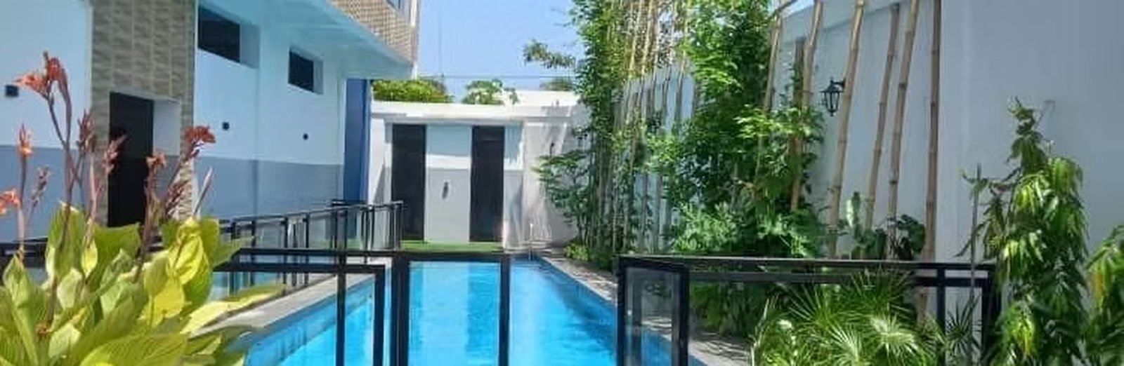 Piscine & jardin